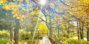 Keys to Freedom—Opening the Symbols of Your Daily Life