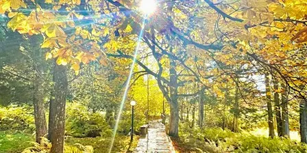 Keys to Freedom—Opening the Symbols of Your Daily Life