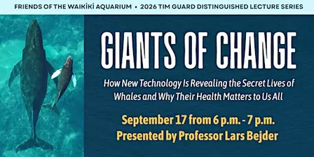 How New Technology Is Revealing the Secret Lives of Whales