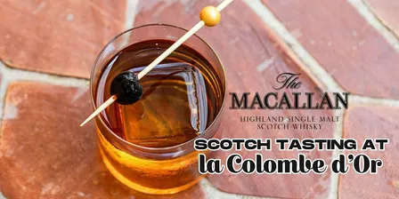 The Macallan Scotch Tasting