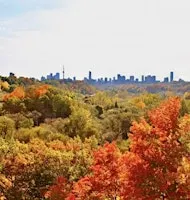 Parks Canada & 10,000 Trees, Planting Event, Sun. Oct. 18, 2026- 1 PM- 4 PM
