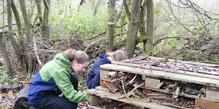 Teen Rangers - Sutton Courtenay, Saturday 12 December