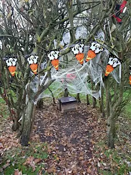 Spooky Masks and Crafts at Ryton Pools Country Park