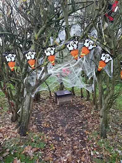 Spooky Masks and Crafts at Ryton Pools Country Park