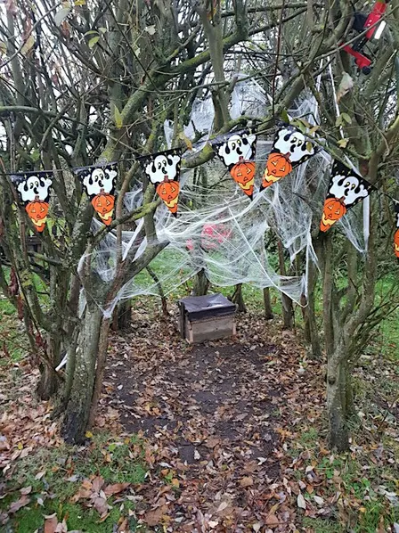 Spooky Masks and Crafts at Ryton Pools Country Park