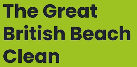 Home Education: Great British Beach Clean at Rye Harbour (420337035)