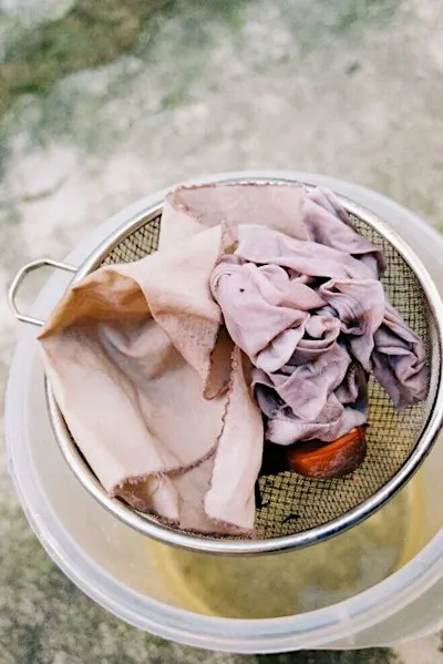 Introduction to Natural Dyes Workshop