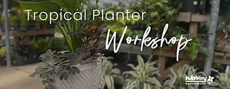 DIY tropical planter | Workshop | St. Albert