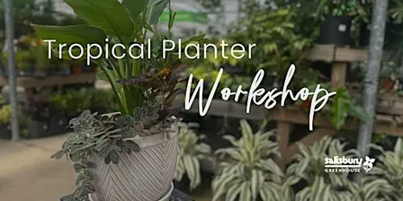 DIY tropical planter | Workshop | St. Albert
