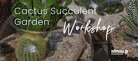 Cactus Succulent Garden | Salisbury at Enjoy |  St. Albert