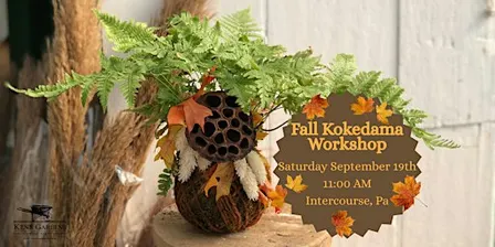 Fall Kokedama (Intercourse Location)