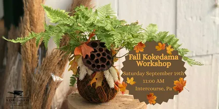 Fall Kokedama (Intercourse Location)