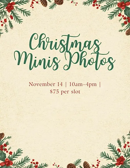 Christmas minis