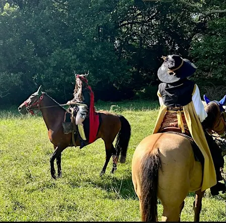 LADIES ONLY D&D One-Shot On Horseback Saturday September 26th 3pm