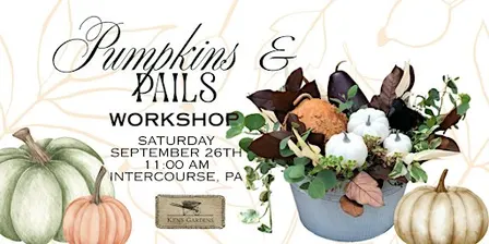 Pumpkins & Pails (Intercourse Location)