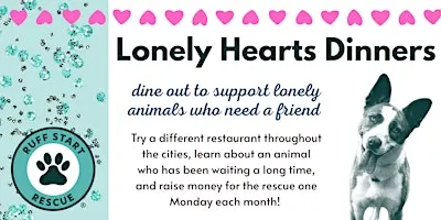 Lonely Hearts Dinner:  Noodles & Company - Maple Grove
