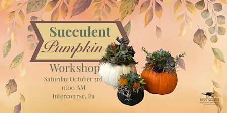 Succulent Pumpkin (Intercourse Location)