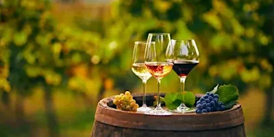 Focusing on Pathways Wine Tour Fundraiser