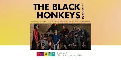 The Black Honkeys In Concert