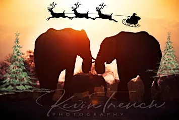 Southern Africa Christmas Market 2026