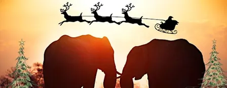 Southern Africa Christmas Market 2026