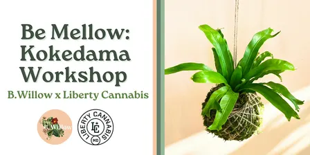 Be Mellow: Kokedama Workshop with Liberty Cannabis!