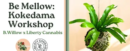 Be Mellow: Kokedama Workshop with Liberty Cannabis!