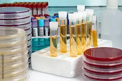Middle School Microbiology (for ages 10-14)