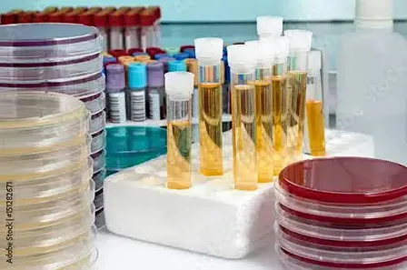 Middle School Microbiology (for ages 10-14)
