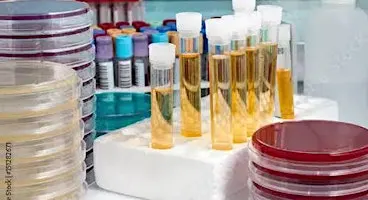 Middle School Microbiology (for ages 10-14)