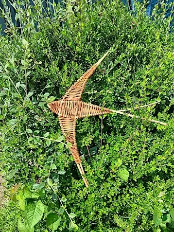 Willow Swift Workshop