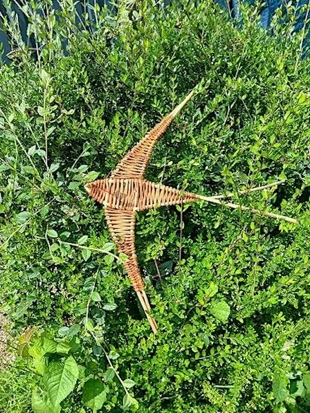 Willow Swift Workshop