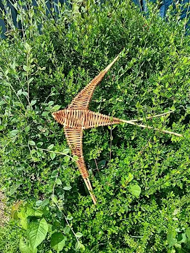 Willow Swift Workshop