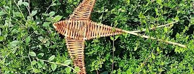 Willow Swift Workshop