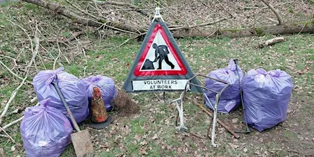 FREE River Litter Pick - Hawley Meadows, Camberley