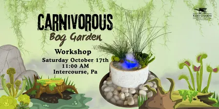 Carnivorous Bog Garden (Intercourse Location)