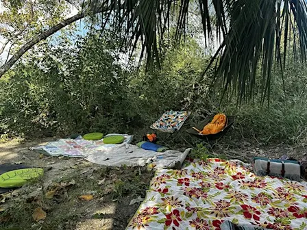 Nature Rx: Forest Bathing at Confluence Park