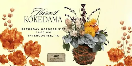Harvest Kokedama (Intercourse Location)