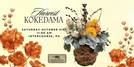 Harvest Kokedama (Intercourse Location)