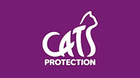 Barn Dance with Cats Protection