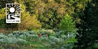Nature Rx | Mindfulness Walk