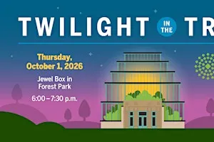 Twilight in the Trees
