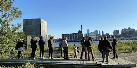 Climate Week:  Guided Birding tour at Governors Island  Park