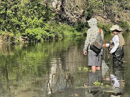 Fly Fishing Film Tour (F3T)