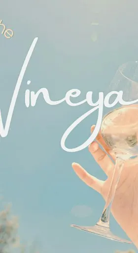 A Day at the Vineyard