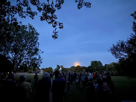 Autumn Bat Walk