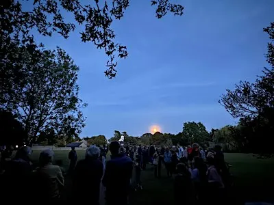 Autumn Bat Walk