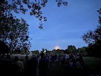 Autumn Bat Walk