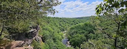 High Rocks Parknership Habitat Restoration