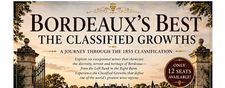 Bordeaux's Best: A journey through the 1855 Classification